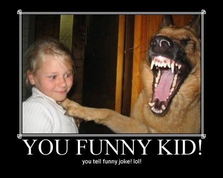 Funny Dog Jokes