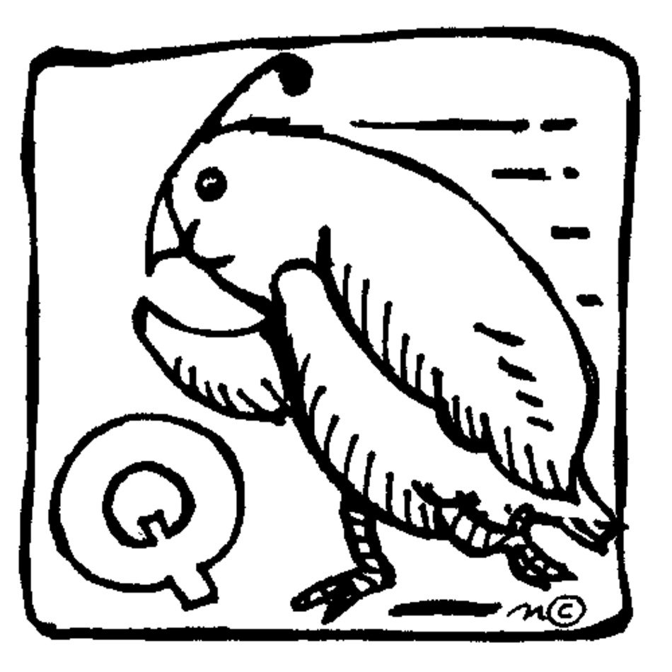 Quail Clip Art N6