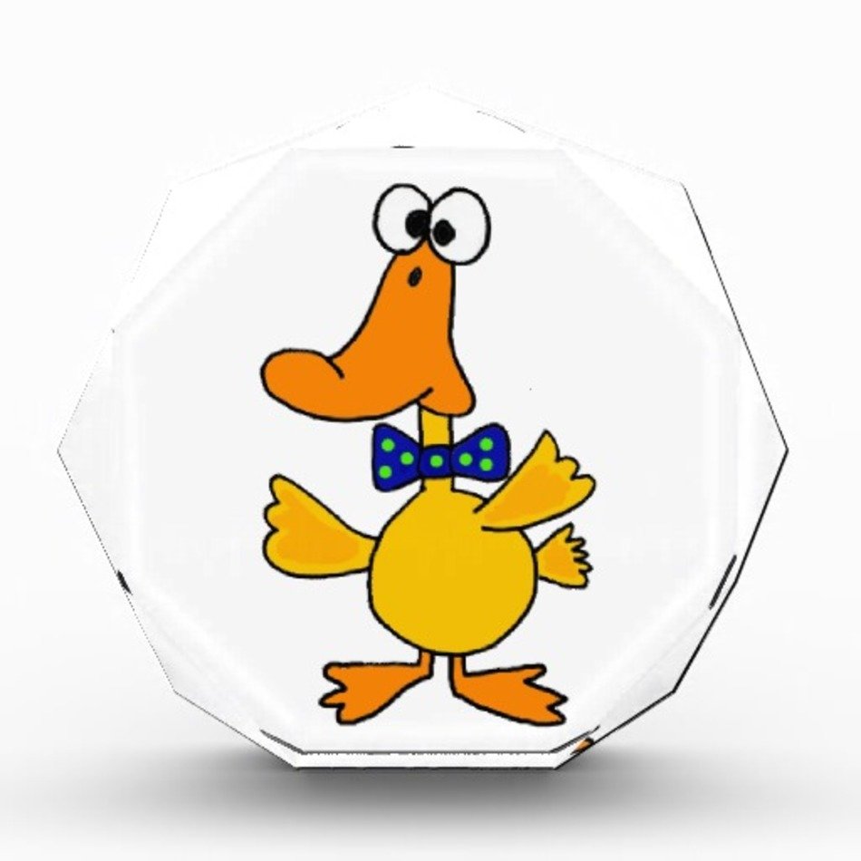 Funny Cartoon Duck N5