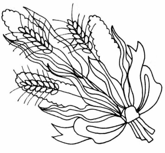 Колосок рисунок схема. Пшеница раскраска. Колосок раскраска. Колос раскраска. Колосья и цветы раскрашивания.