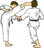 Hvad Er Jiu Jitsu