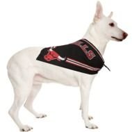 Chicago Bulls Logo With Bandana