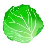 Cabbage Clip Art N16