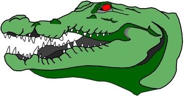 Alligator Cartoon drawing