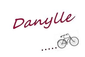 red lettering "danyue" in the picture