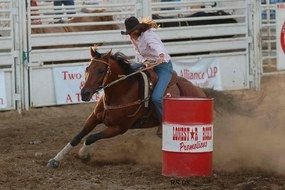 Barrel Racing Horses drawing
