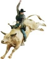 Ä°llustration of Rodeo Bull Riding