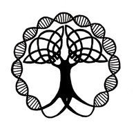 Celtic Tree Of Life Symbol
