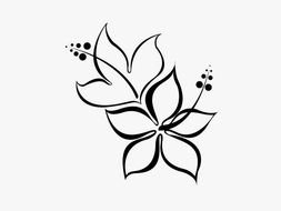 Hibiscus Flower Tattoo Design drawing