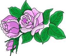 Flower Clip Art N287