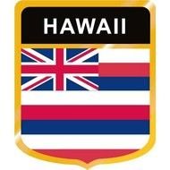 Hawaii Flag Clip Art