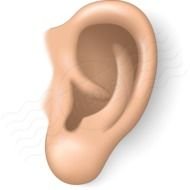 Ear Icon