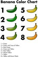 Banana green yellow Chart drawing