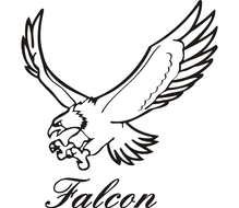 Falcon as an emblem