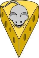 picture of a mouse on a piece of cheese