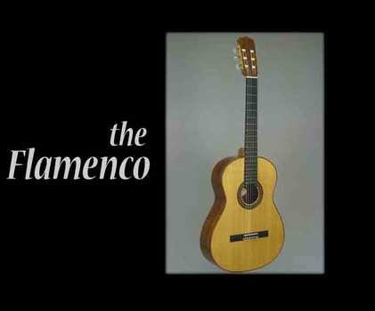 Our Flamenco Guitar Has A Feather Light Touch And Powerhouse Sound