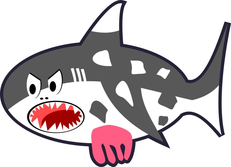 angry cartoon shark
