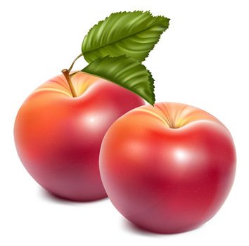 Apple Clip Art N83