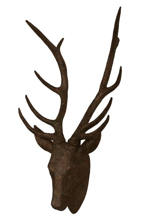 Faux Stag Head drawing