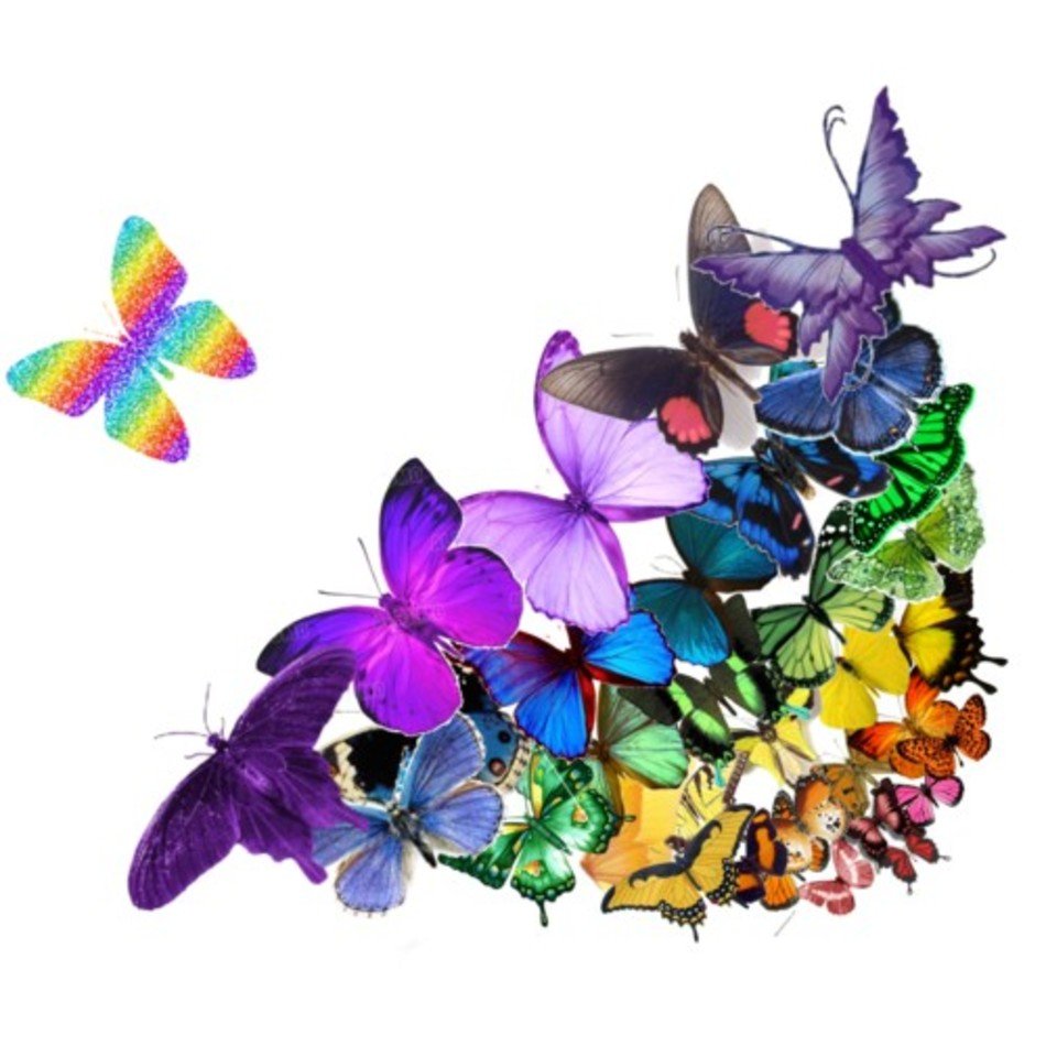 Butterflies Flying Away