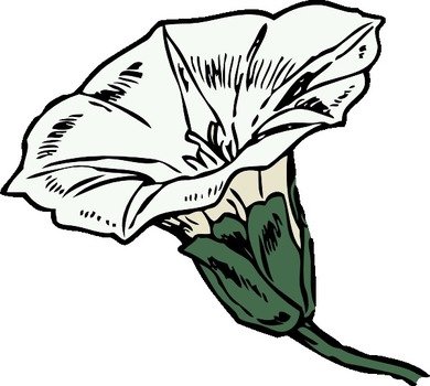 Hollyhock Flower Clip Art Black And White