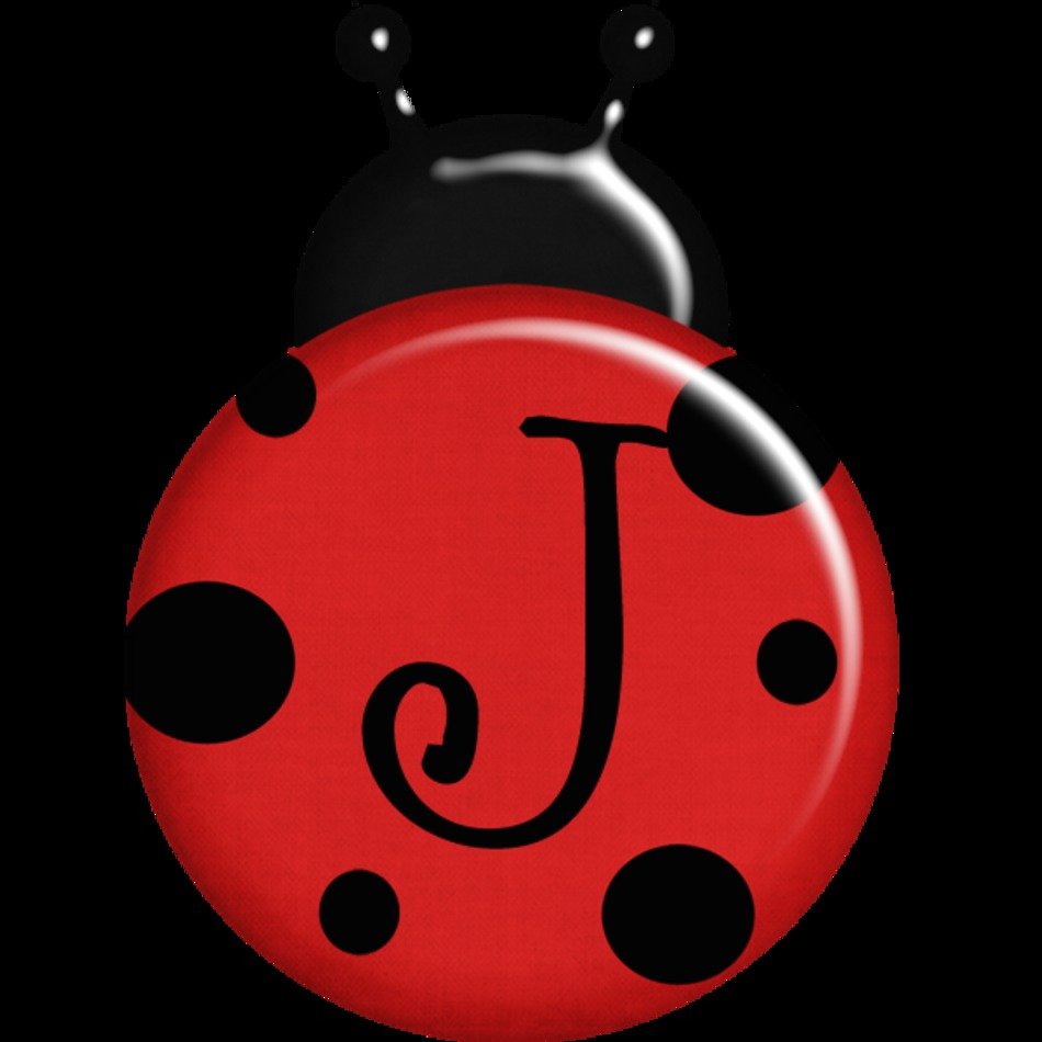 Ladybug Clip Art N70
