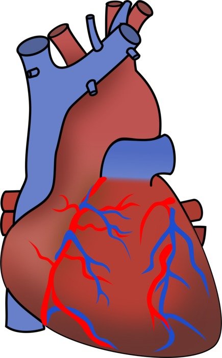 BIG IMAGE PNG N79