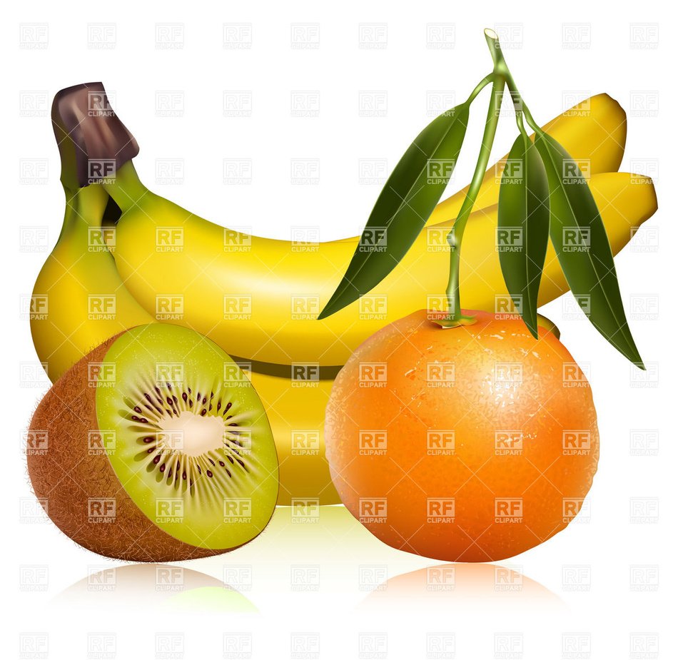 Orange Fruit Clip Art N30