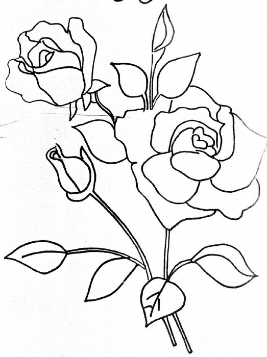 Bouquet of roses, outline free image download