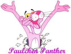Pink Panther Cartoon Characters N3