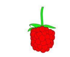 picture of red raspberries