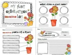 1st Grade Plant Activities