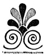 flourishes darwing
