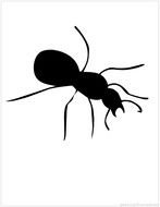 Ant Silhouette N2