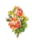 Free Clip Art Pink Roses Flowers
