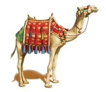 painted camel with a red saddle