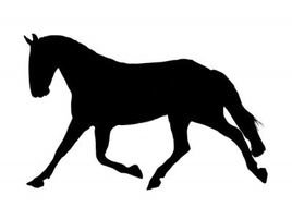 black silhouette of a running horse