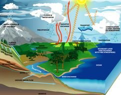 Water Cycle N20