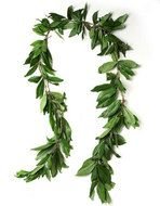 Hawaiian Lei Border