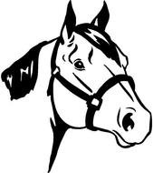 Horse Head N5