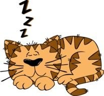 Sleeping Cat Cartoon drawing