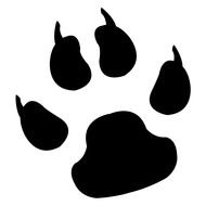 Dog Paw Print Tattoos drawing