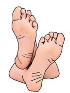 Cartoon Feet drawing