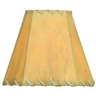 Lamp with the shade