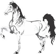gray sketch of a horse on a white sheet