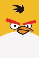 portrait of a yellow Angry Bird