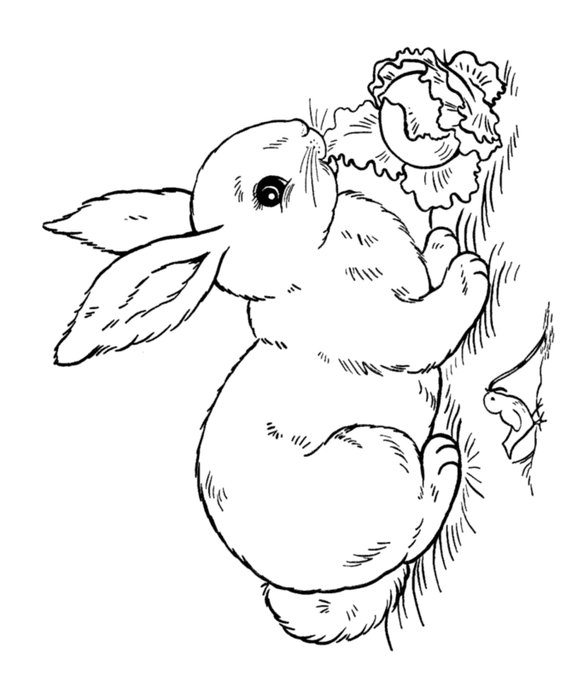 Komiksy Tytus drawing