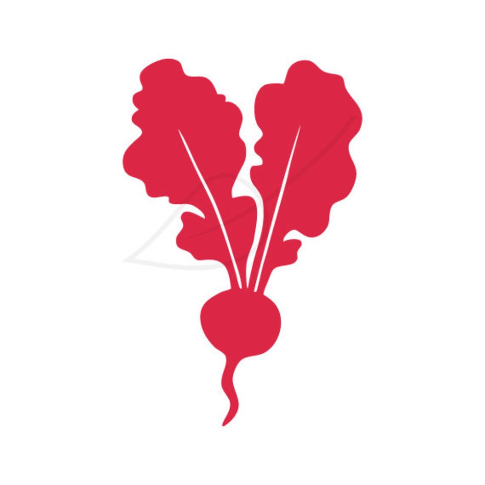 Radish Clip Art N19