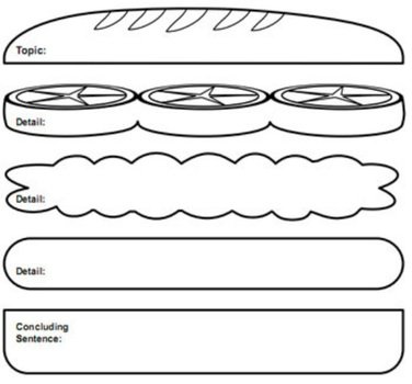 Sandwich Paragraph Graphic Organizer
