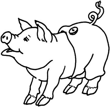 coloring page with a pig